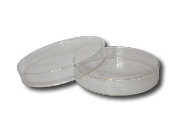 Szalka Petriego szklana śr. 80mm 1sz
